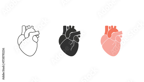Vector art of anatomical heart illustration set, line, silhouette and color