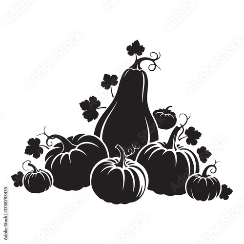 Silhouette of a bountiful harvest of pumpkins and gourds with curling vines and leaves on a white background