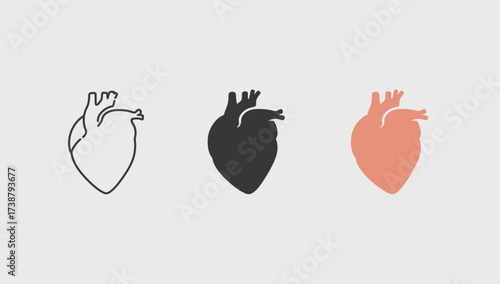 Vector art of three anatomical heart icons, representing cardiology