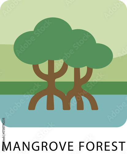 Illustration of Mangrove Tree in Water