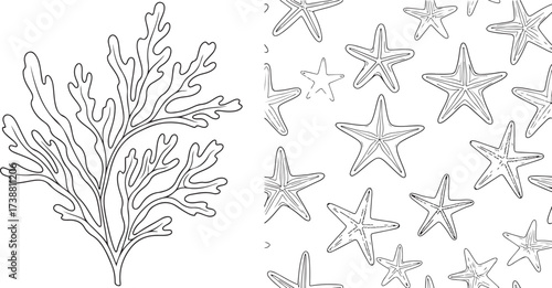 Marine Life Outline Art: Seaweed and Seamless Starfish Pattern
