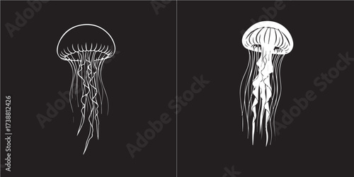 Graphic White Jellyfish Illustrations on Black Background