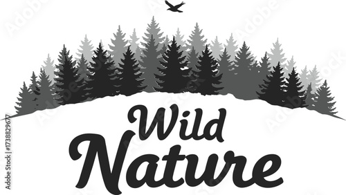 A festive set of vector Christmas trees and winter icons with snow and holiday decorations for a new year celebration card design