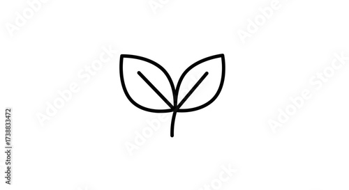 Simple minimalist illustration of two leaves sprouting from a single stem, showcasing natural growth.