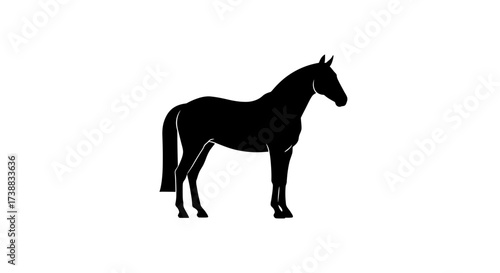 Silhouette of a majestic horse standing elegantly against a plain white background.