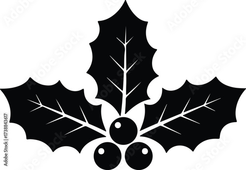 Vector silhouette holly berry sprig Christmas plant illustration