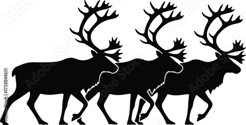 Vector silhouette of reindeer herd walking forward illustration