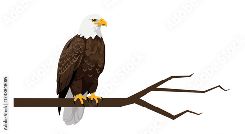 Majestic Bald Eagle Perched on Branch A Symbol of Freedom and Wildlife