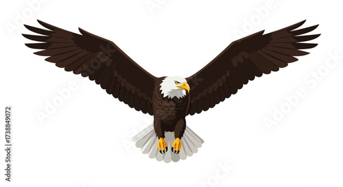 Majestic Bald Eagle Illustration with Wings Spread