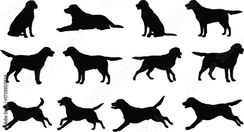 Collection of black dog silhouettes in various poses including sitting, standing, running, jumping, lying down, isolated vector illustrations, pet artwork