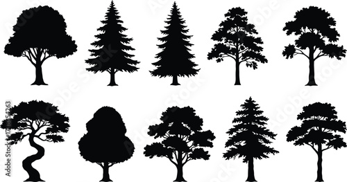 Collection of tree silhouettes with different shapes, pine, oak, natural forest design, vector illustration for eco artwork and decoration