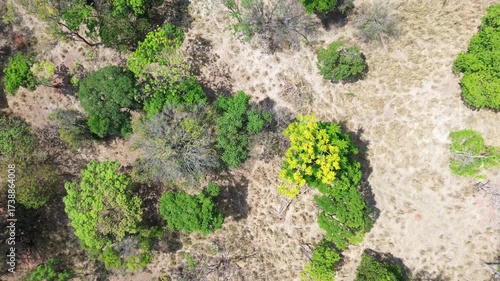 Drone view of rural farmland with native vegetation and preservation areas in São Paulo countryside, Brazil