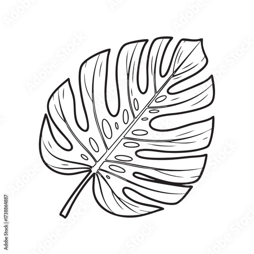 Elegant black outline illustration of a tropical Monstera deliciosa leaf, showcasing its distinctive fenestrations, perfect for botanical themes and nature-inspired designs