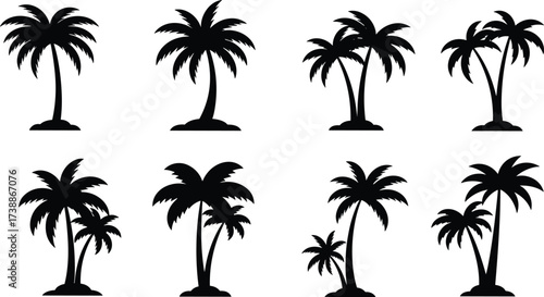 Palm tree silhouettes collection, tropical coconut palms, summer beach island trees, exotic paradise vector design, holiday nature illustration, coastal decorative elements