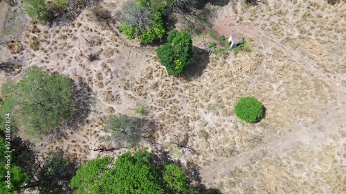 Drone view of rural farmland with native vegetation and preservation areas in São Paulo countryside, Brazil