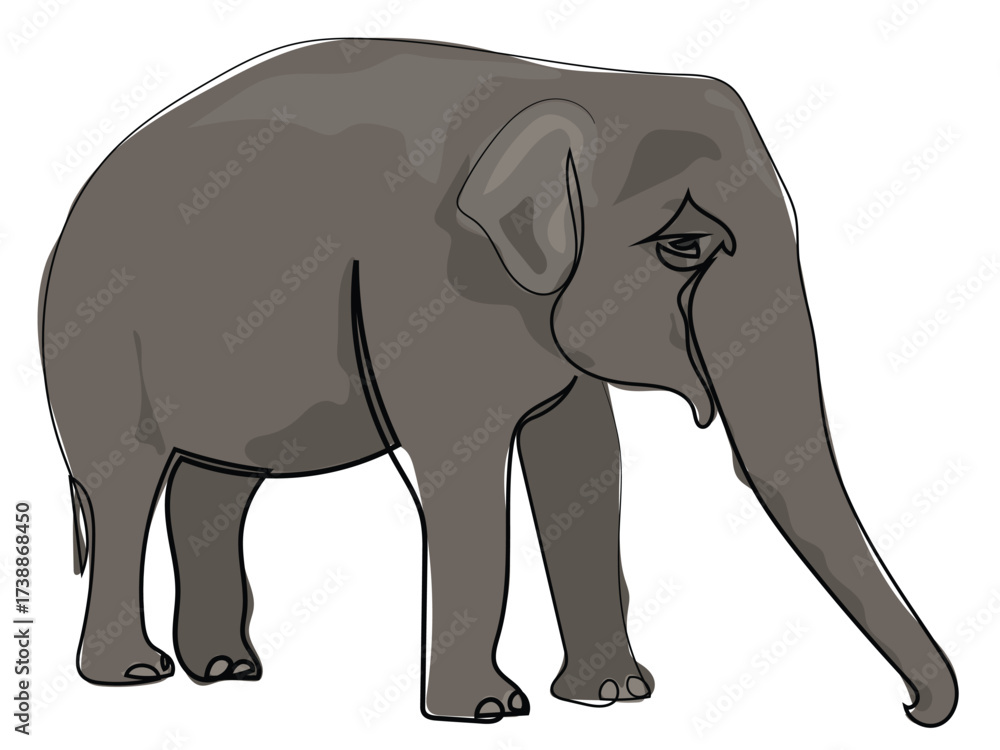 Fototapeta premium Elephant in a continuous line drawing