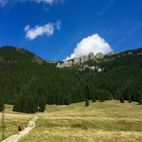 landscape in the mountains