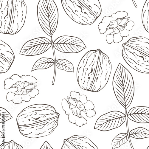 Seamless pattern of handdrawn walnuts and leaves