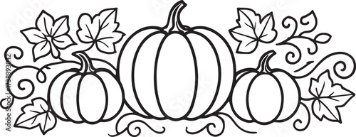Pumpkin Harvest Celebration: A meticulously illustrated autumnal display featuring a trio of plump pumpkins nestled amidst a charming arrangement of leaves and elegant tendrils.