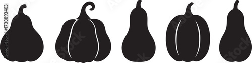 Silhouette Pumpkins: An elegant black silhouette of various pumpkins, perfectly showcasing the diverse shapes and forms of these autumnal icons. It captures the essence of fall.