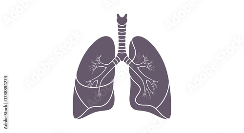 Illustration of healthy human lungs showcasing intricate airway structure for medical visualizations