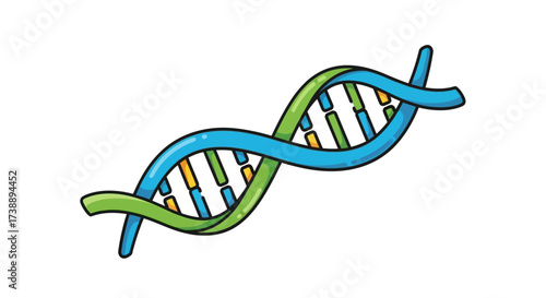 Cartoon DNA strand illustration featuring vibrant colors and simplified biological structure for