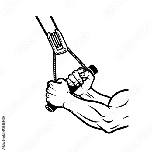 Detailed monochrome illustration showcasing arm muscles during triceps pulldown workout exercise