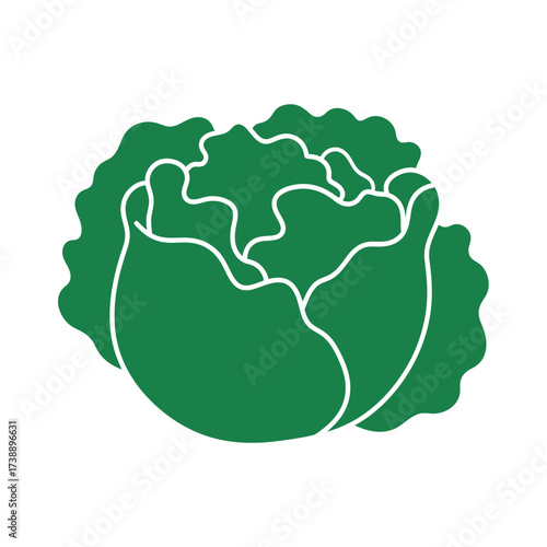 Elegant simplicity: a minimalist portrayal of fresh cabbage in leafy outline design