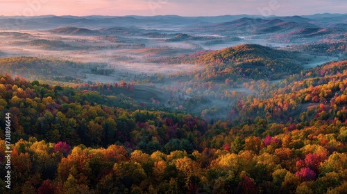 A view of a valley with a forest in the fore