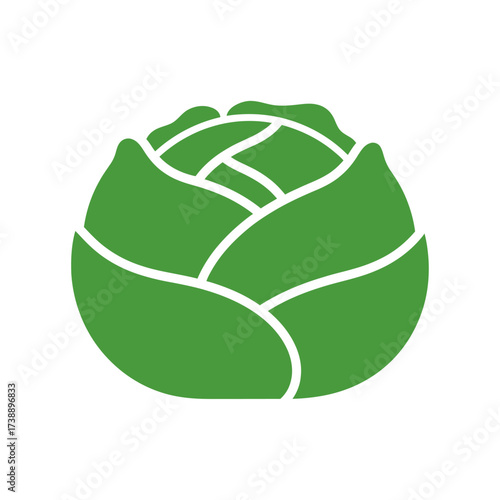 Stylized cabbage head illustration with symmetrical leaf patterns and soft green hue  minimalist