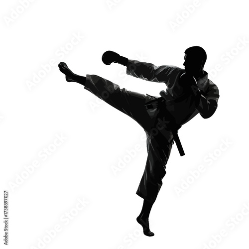 Dynamic silhouette of a martial artist executing a high kick with power and precision
