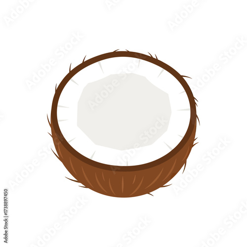 Minimalist coconut illustration showcasing the fibrous husk and creamy white kernel perfection