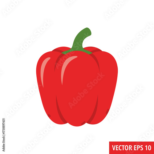 Vibrant single red bell pepper illustration against clean white backdrop simple style