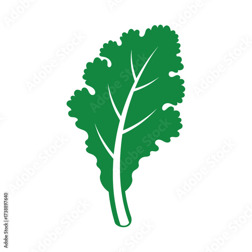 Vibrant single kale leaf graphic illustration conveying freshness and natural eating habits