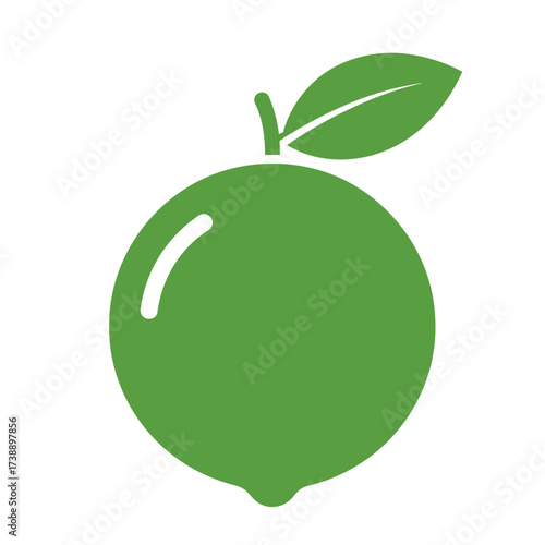 Minimalist depiction of a lime with subtle highlights offering simplistic elegance and style