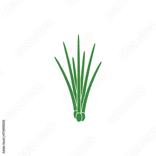 Elegant minimal illustration of fresh chives on a plain backdrop creating visual harmony