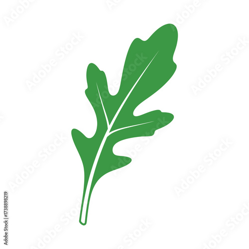 Arugula leaf illustration showcases the freshness and simplicity of nature's bounty