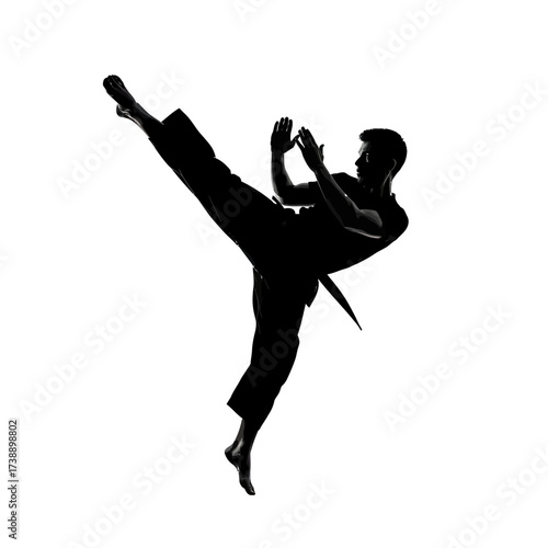 Silhouette of a martial artist performing a dynamic kick in a training environment