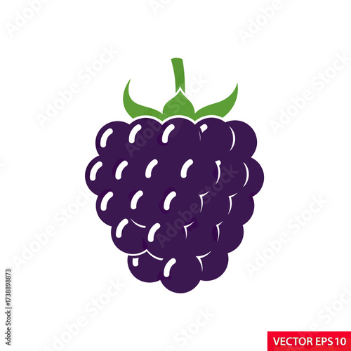 A captivating blackberry vector illustration showcases a vibrant purple fruit with delicate green