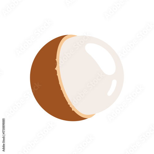 A minimalist illustration of a cut coconut showcasing its brown shell and white flesh