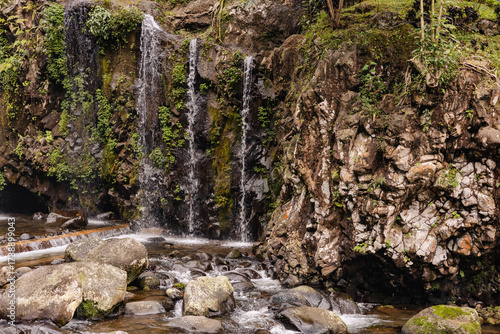 small waterfall on the mossy rock