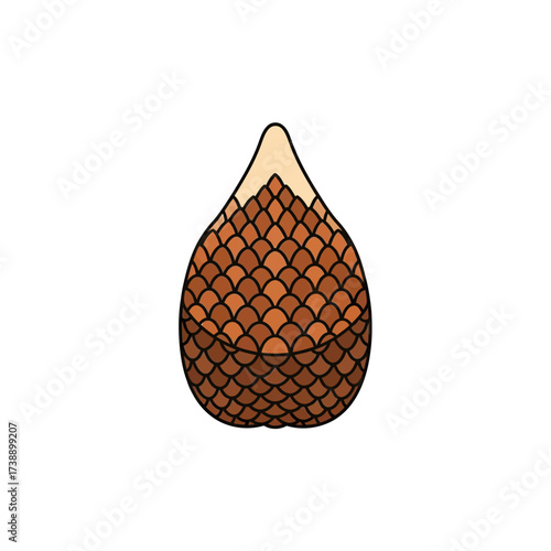 Detailed illustration displaying snake fruit isolated on a white background with intricate textures