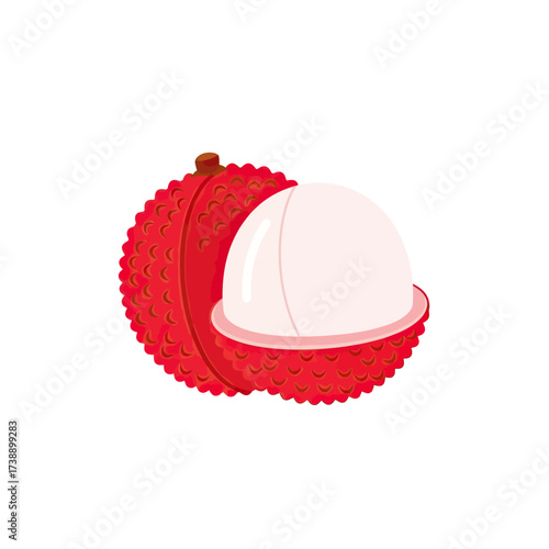 A Vibrant and Detailed Illustration of a Lychee Fruit with a Partial Cross Section