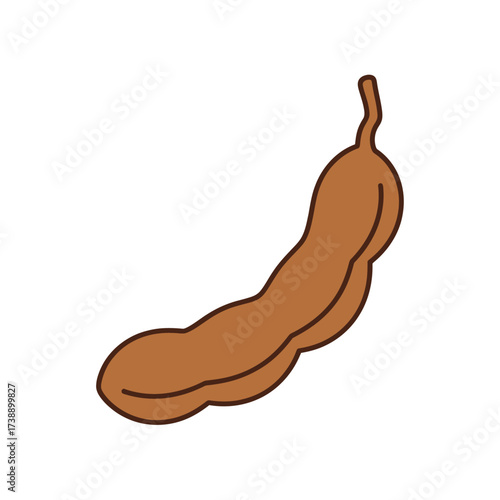 Stylized tamarind illustration showcasing its curved shape and earthy brown hue for food concepts