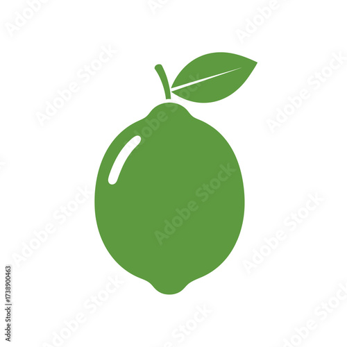 Elegant citrus fruit representation showcases freshness and natural essence using minimalist design