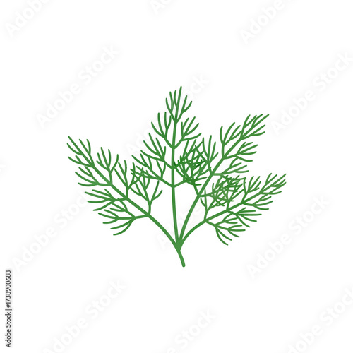 Elegant simplicity: A minimalist dill illustration showcasing delicate herbal aesthetics