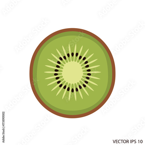 Slices of vibrant kiwi showing cross-section design with a light green color and radial seed pattern