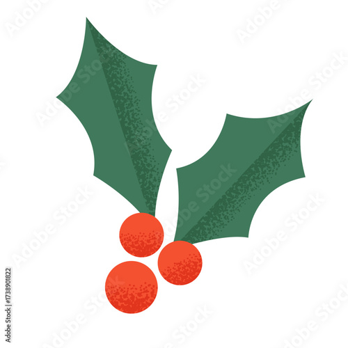 Christmas Holly Berries Leaves Illustration Art