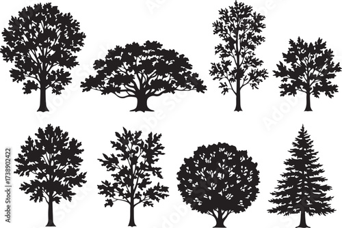 Silhouette Trees Collection: A collection of various tree silhouettes, each a unique silhouette representing different species, ideal for design and nature concepts.