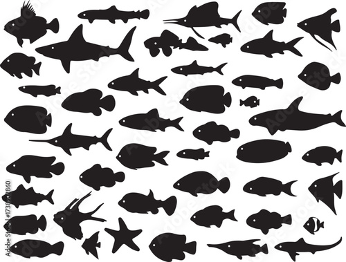 Ocean Silhouette Collection: An artistic composition features a diverse collection of black silhouette illustrations of various marine life forms.